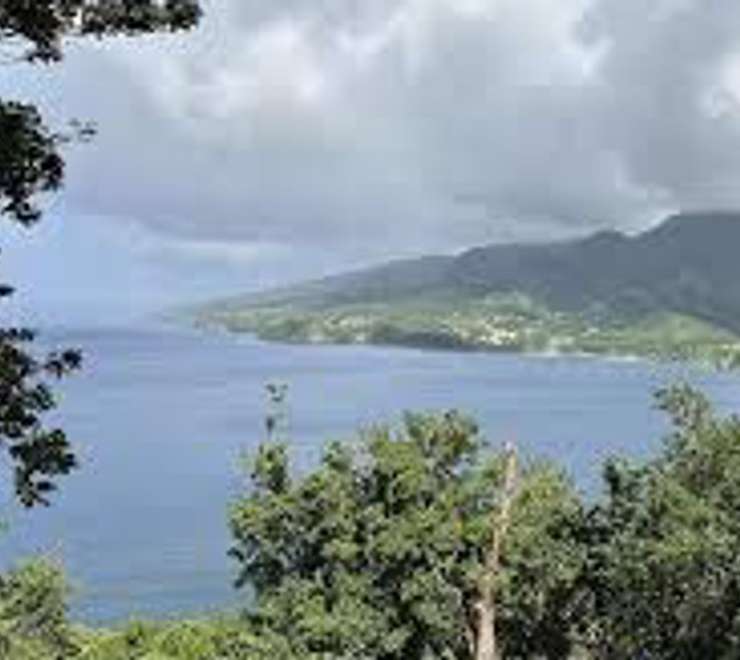 Cabrits National Park Trails