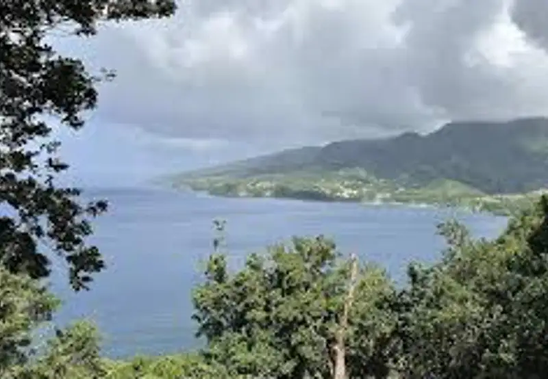 Cabrits National Park Trails