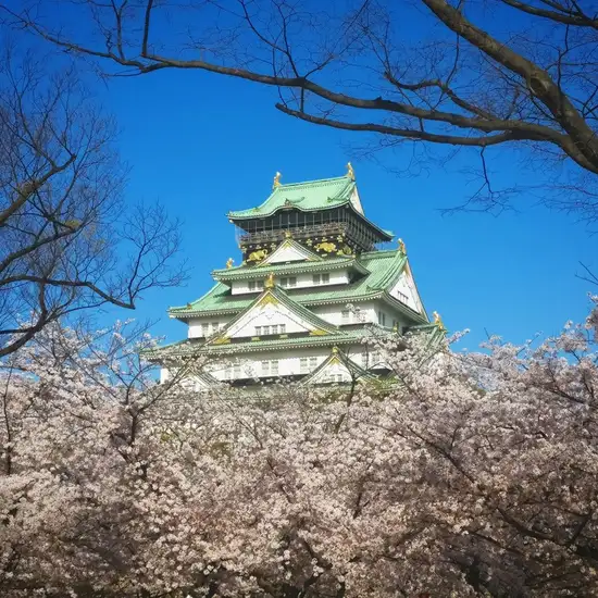 Image related to Osaka Castle