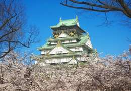 IgluCruise.Application.ViewModels.Shared.WebImageViewModel?.Description