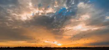 Image related to Salaverry