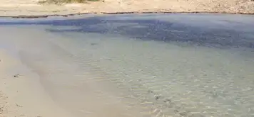 Image related to Bassa Beach