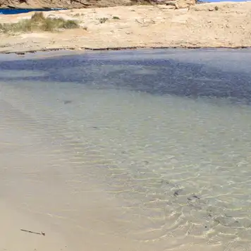 Image related to Bassa Beach