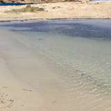 Image related to Bassa Beach
