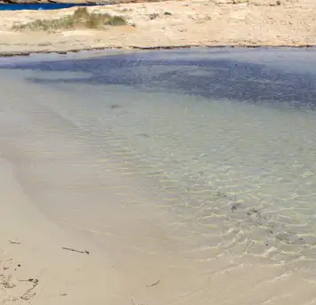 Image related to Bassa Beach