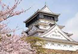 IgluCruise.Application.ViewModels.Shared.WebImageViewModel?.Description