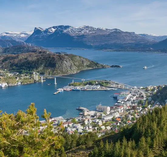 Image related to Maloy