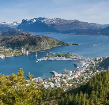 Image related to Maloy