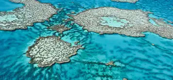 Image related to Great Barrier Reef