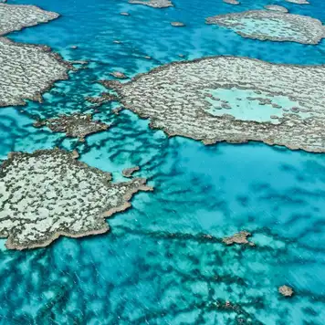 Image related to Great Barrier Reef
