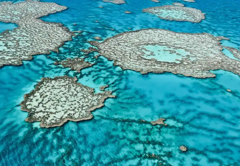 Great Barrier Reef