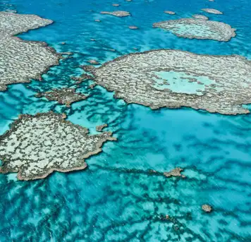 Image related to Great Barrier Reef