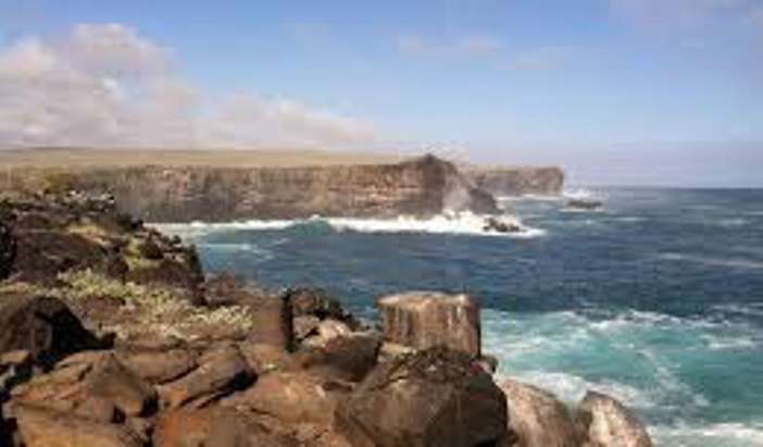 Punta Suarez, Espanola