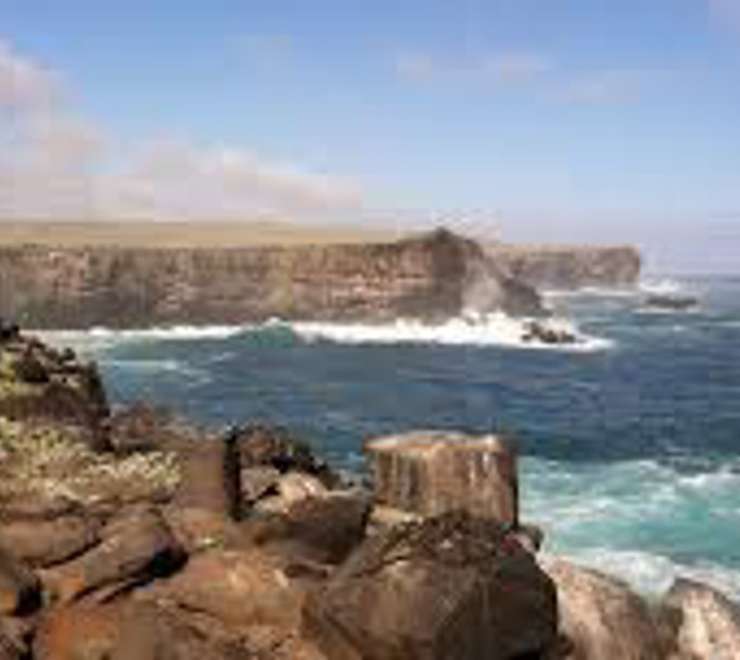 Punta Suarez, Espanola