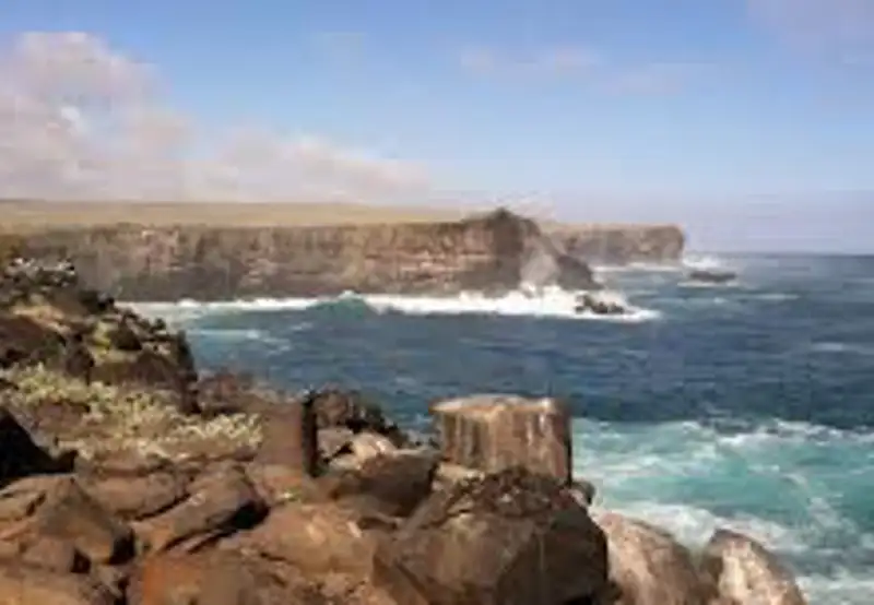Punta Suarez, Espanola