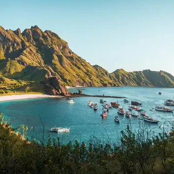 Image related to National Park