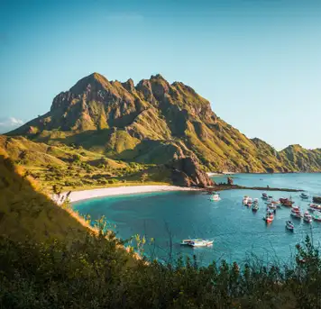 Image related to National Park