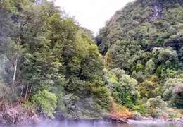 IgluCruise.Application.ViewModels.Shared.WebImageViewModel?.Description