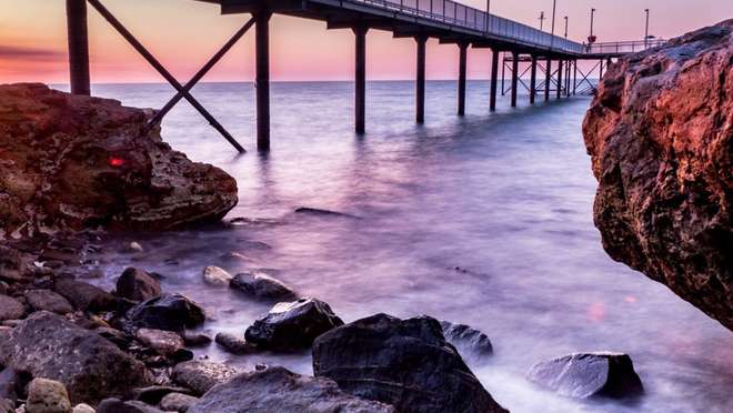 Explore Darwin’s Wild Side