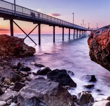 Image related to Darwin