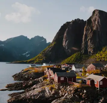 Reine