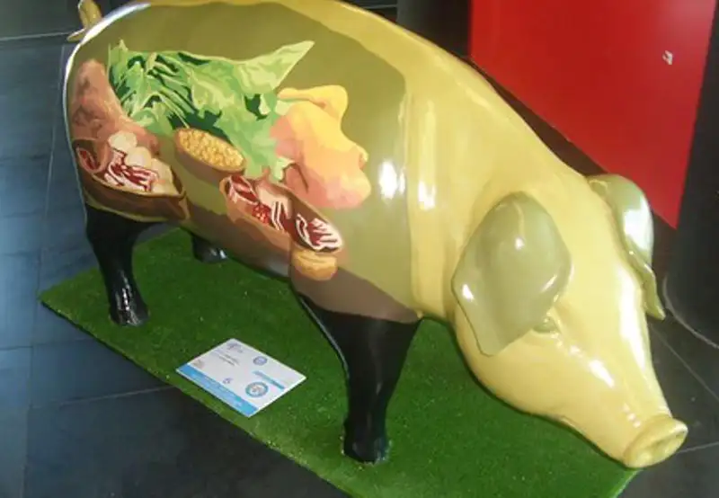 Vigo Art Museum Spain