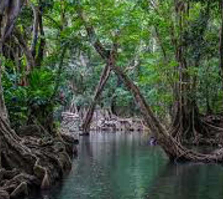 Bell Hall River