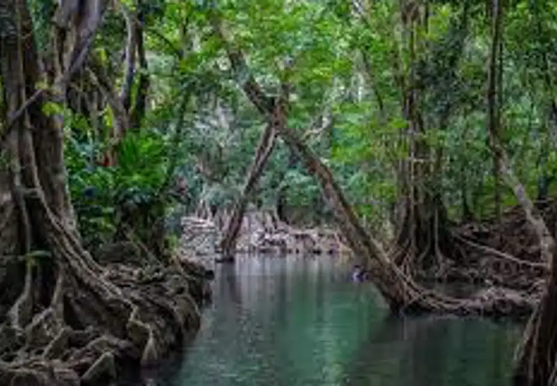 Bell Hall River