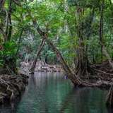 Image related to Bell Hall River