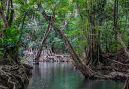 IgluCruise.Application.ViewModels.Shared.WebImageViewModel?.Description