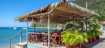 Take a Death in Paradise Tour