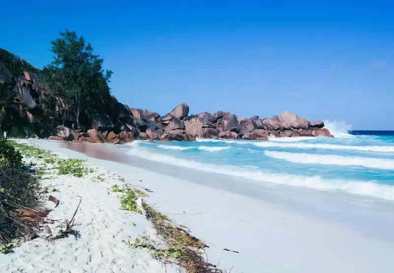 World-Class Beaches