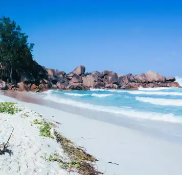 World-Class Beaches