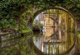 IgluCruise.Application.ViewModels.Shared.WebImageViewModel?.Description