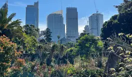 Image related to Royal Botanic Garden 