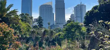 Image related to Royal Botanic Garden 