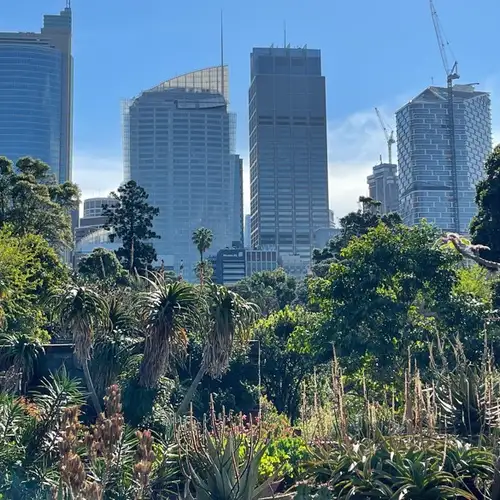Image related to Royal Botanic Garden 