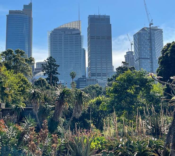 Royal Botanic Garden 
