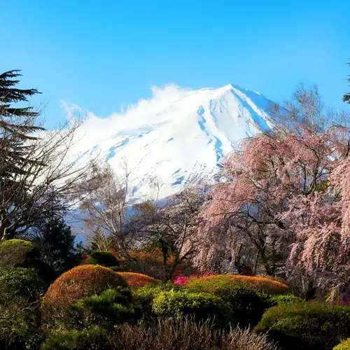 Image related to Hiking Trails