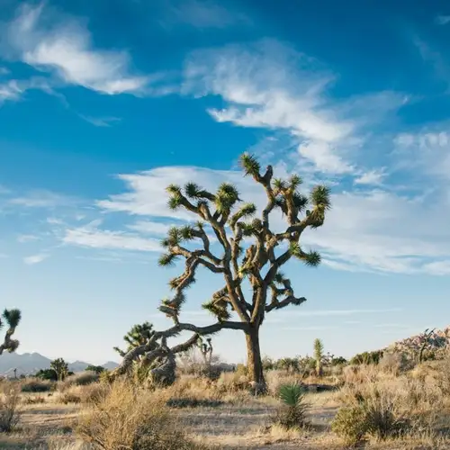 Image related to Las Vegas - Mojave Desert - Los Angeles