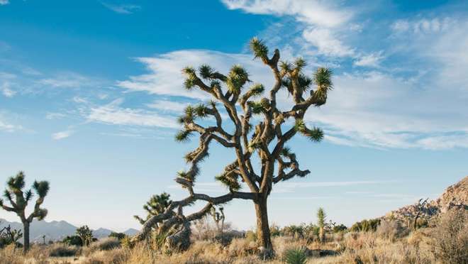 From Las Vegas, through the Mojave Desert, to Los Angeles