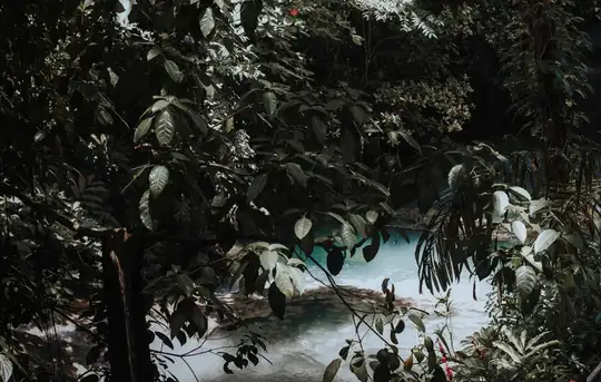 Image related to Dunn's River Falls