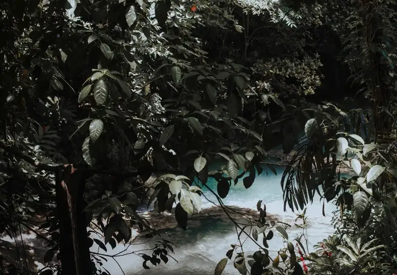 Image related to Dunn's River Falls