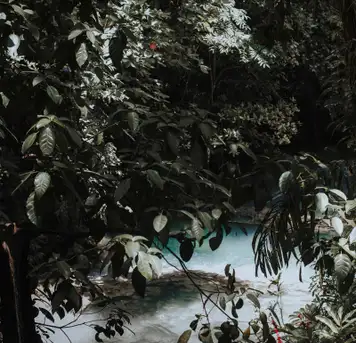 Dunn's River Falls