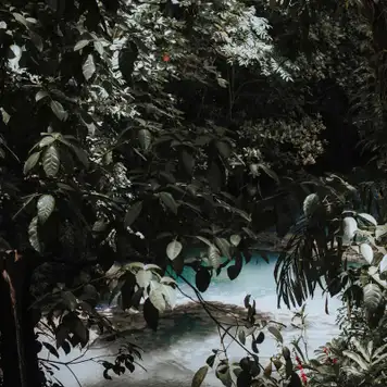 Image related to Dunn's River Falls