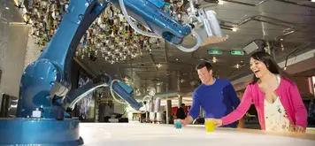 Image related to couple enjoying the Bionic Bar