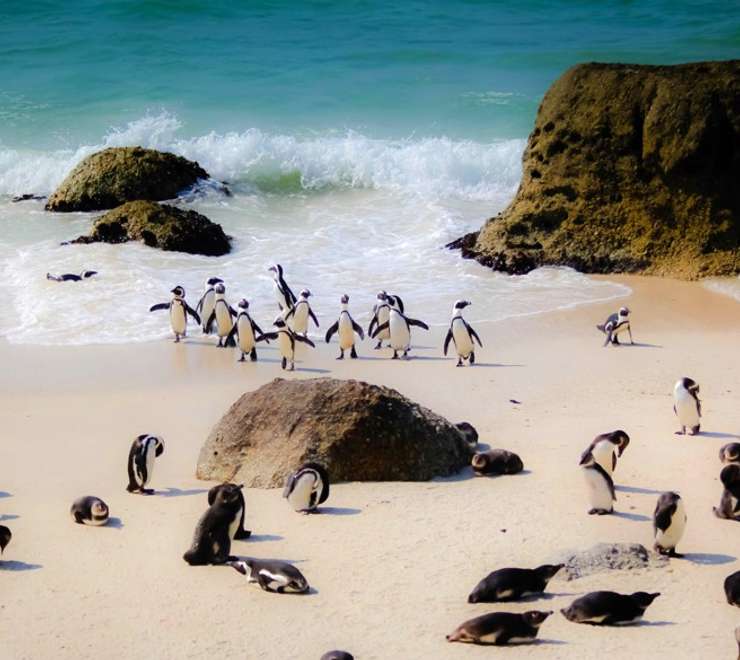 Boulders Beach