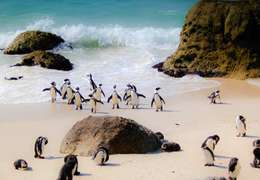 IgluCruise.Application.ViewModels.Shared.WebImageViewModel?.Description