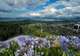 Skyline Rotorua