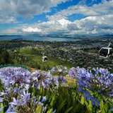 Image related to Skyline Rotorua